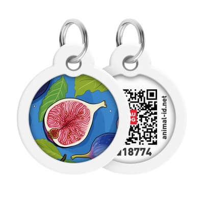 Адресник для тварин WAUDOG Smart ID з QR паспортом "Інжир", коло 30 мм (230-4053)